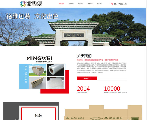 廣州網站制作，域名服務器租用，廣州網站建設